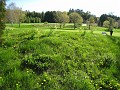 Mackinaw Island Area May 2008 0301